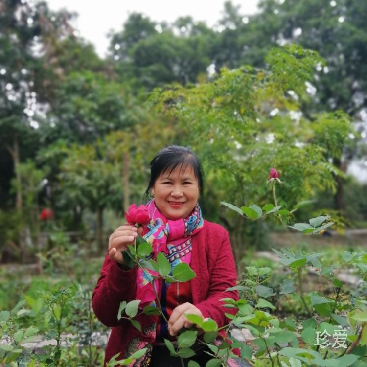 多來(lái)A夢(mèng)諾