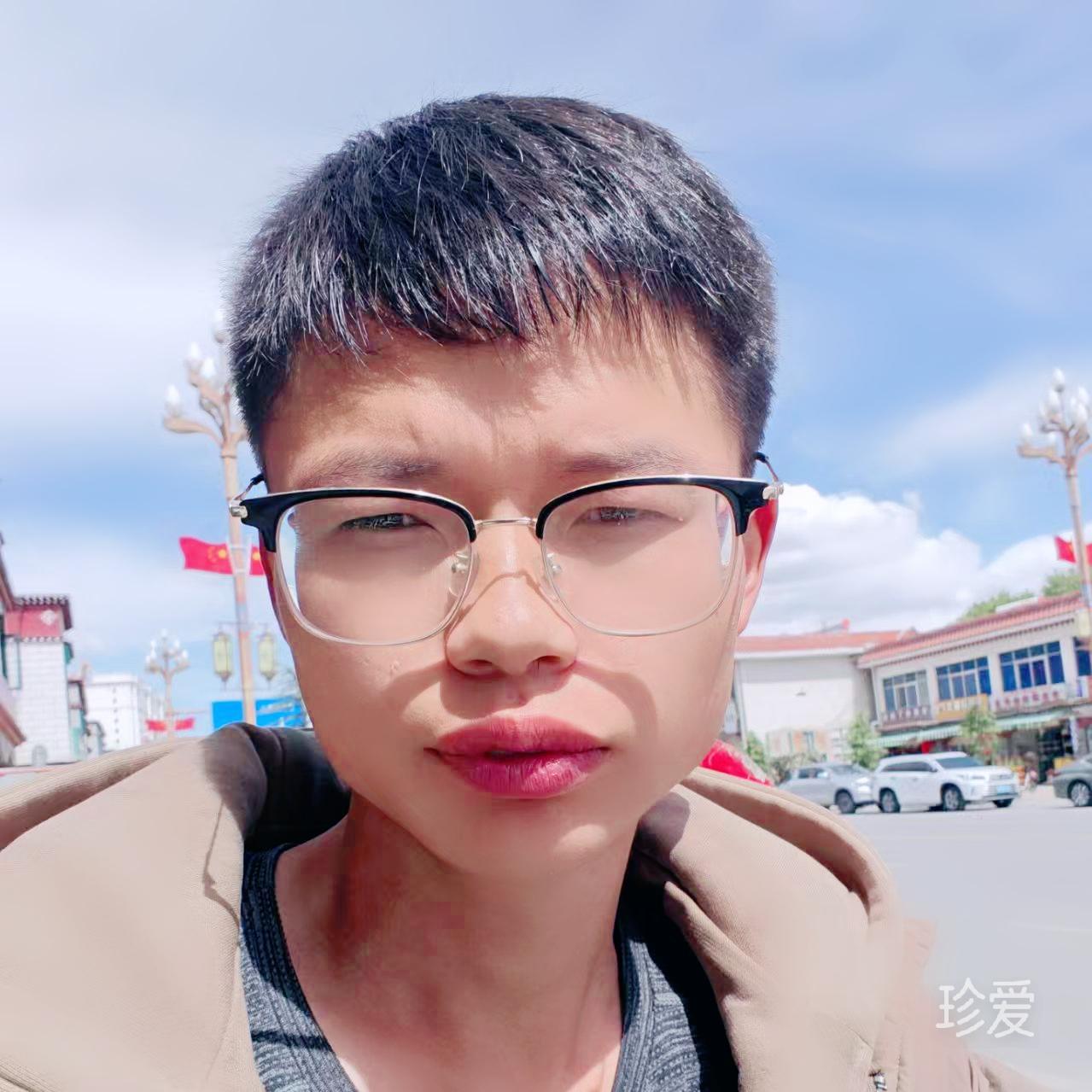冬天的梧桐树