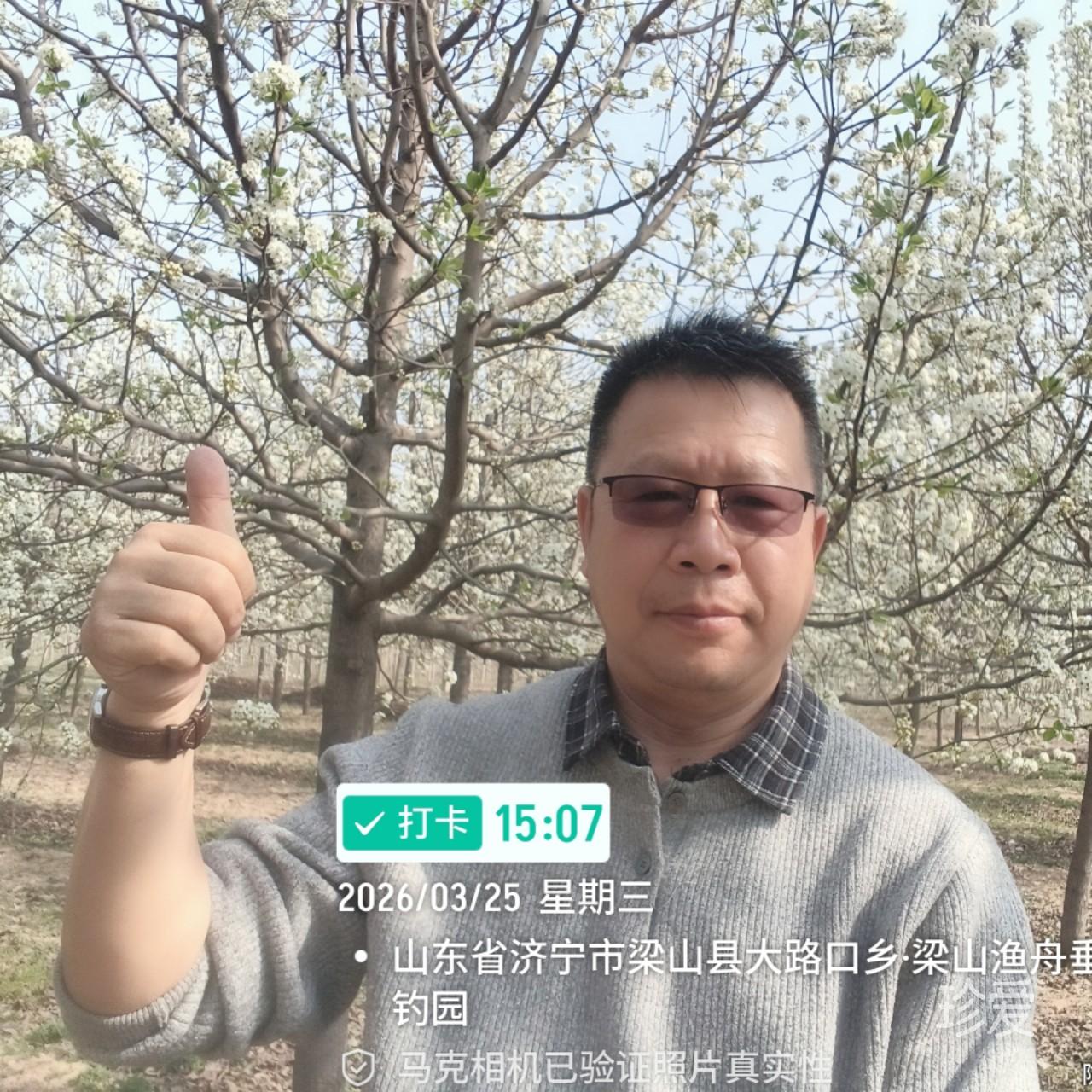 冷水沏茶