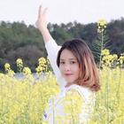 綠秋