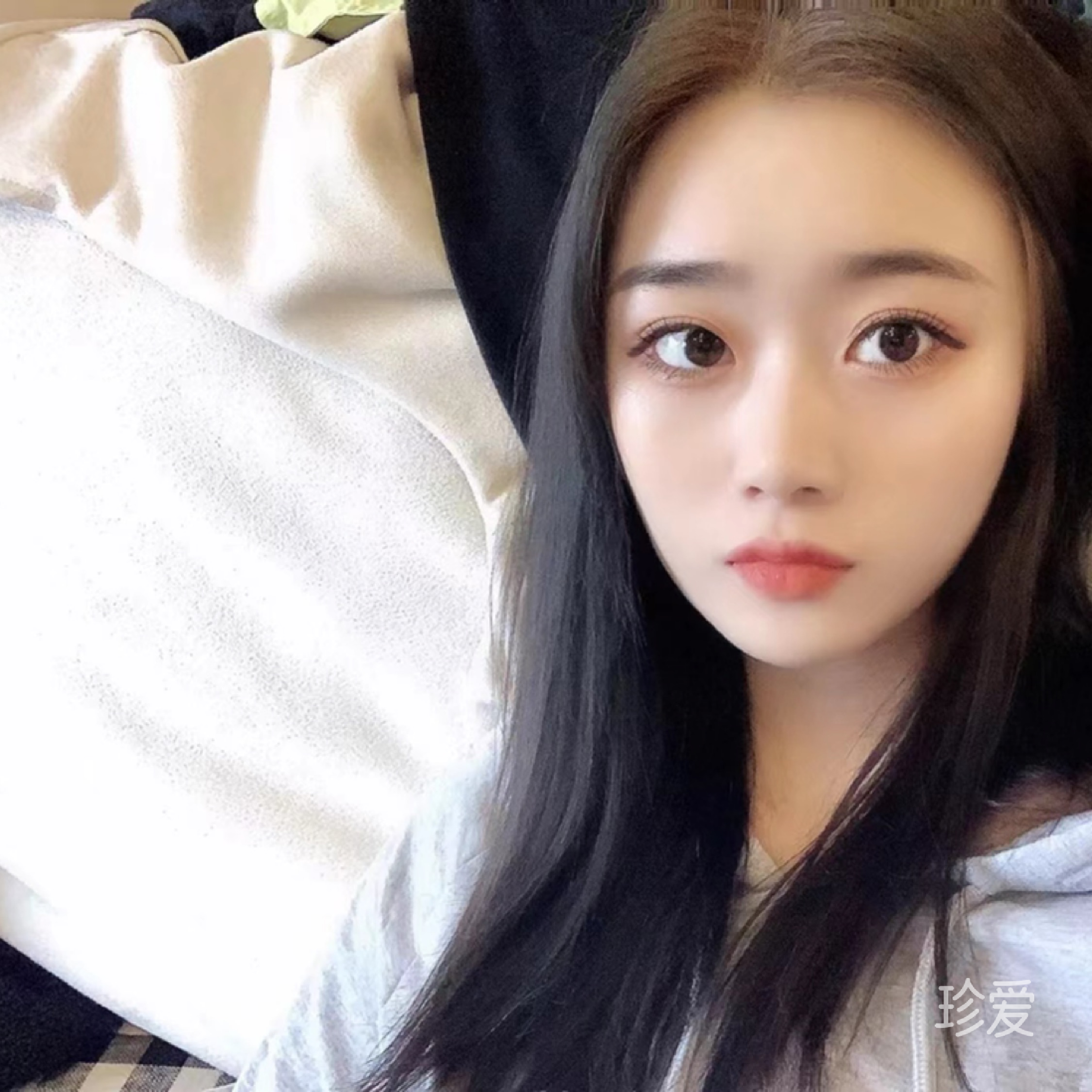 孤鸢