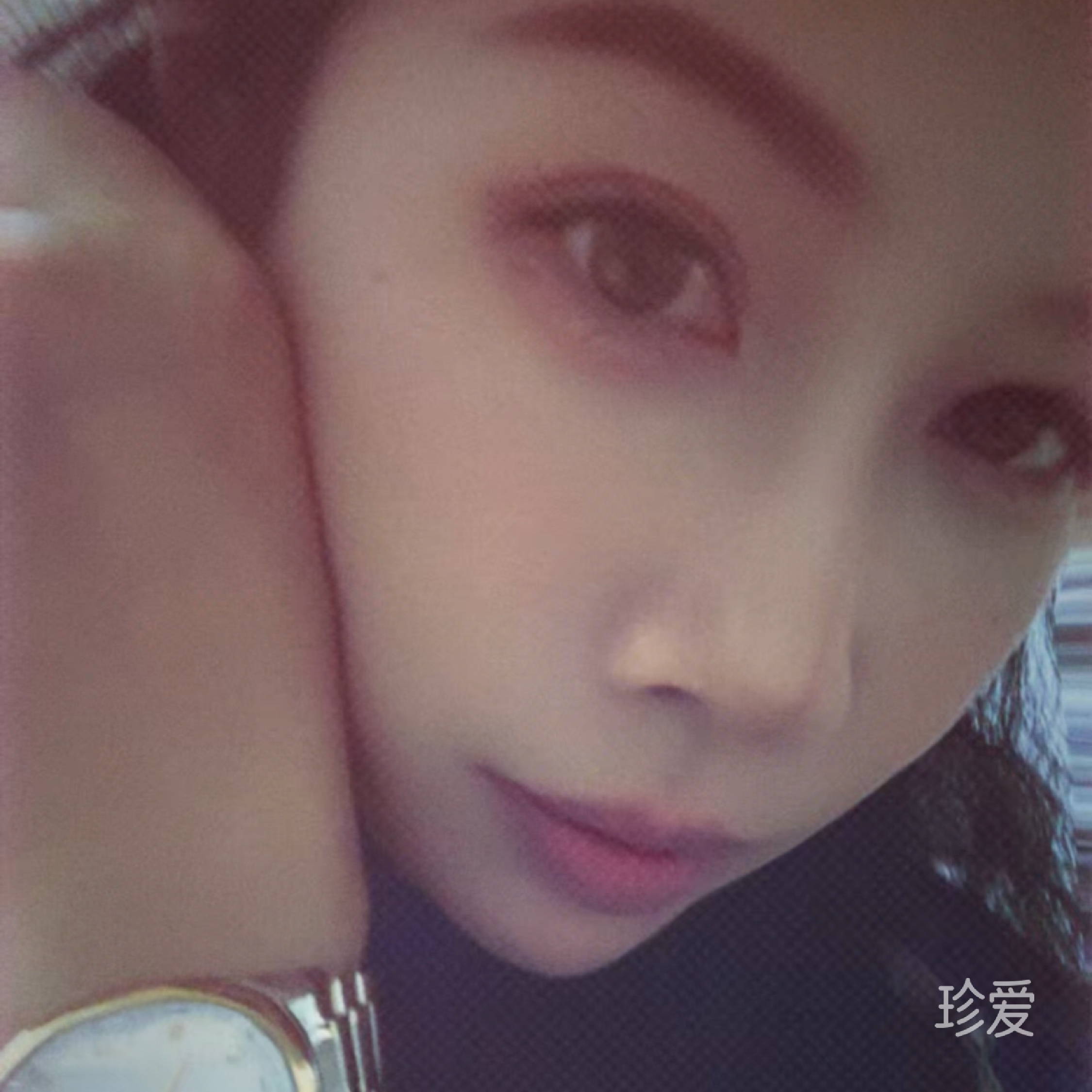 小白熊