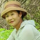 春风十里