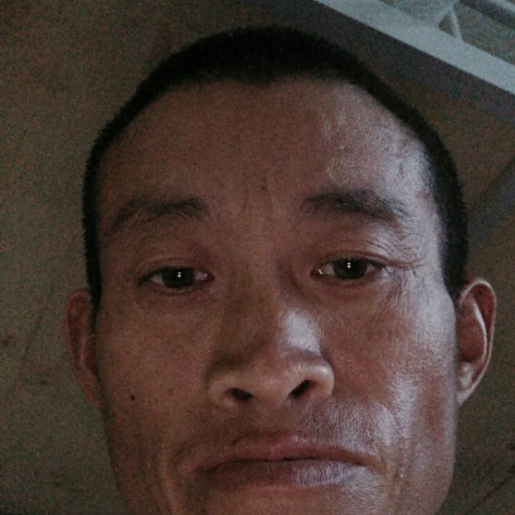 醉臥沙場君莫笑