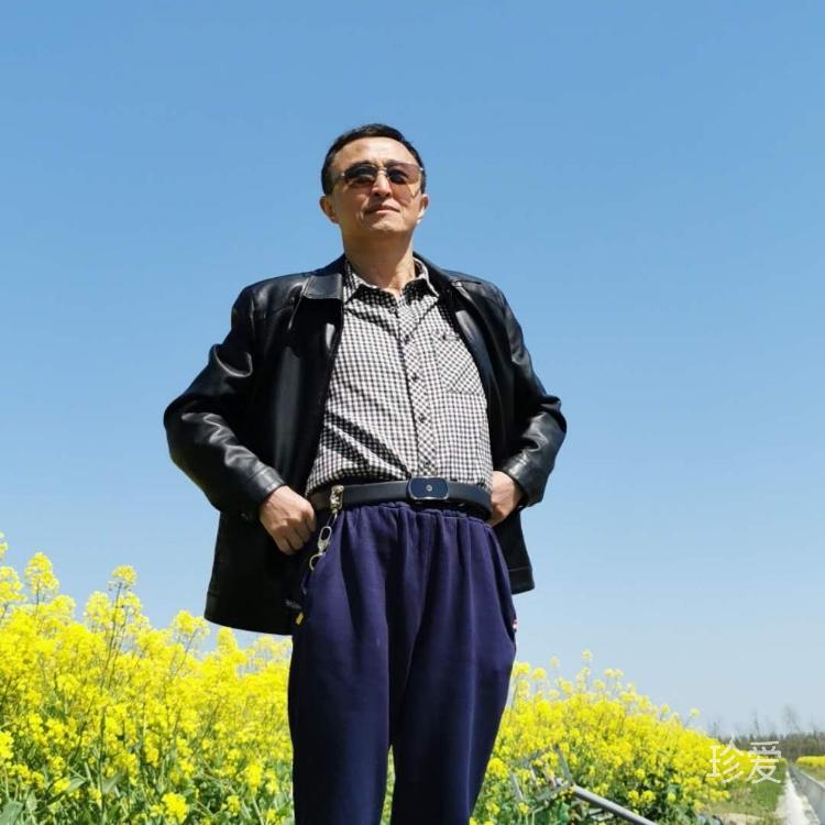 宠辱不惊