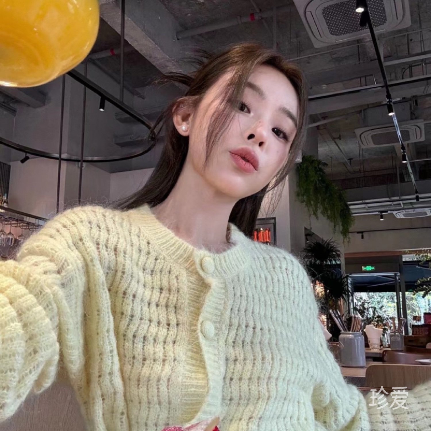 不吃鱼的红哈哈