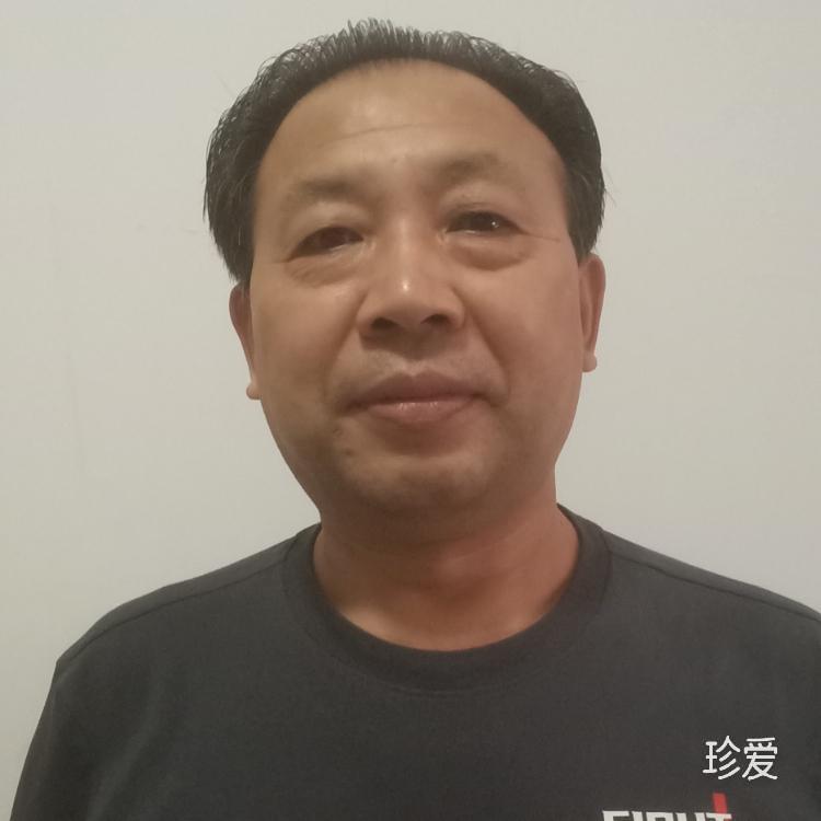 殿堂级书法艺术大