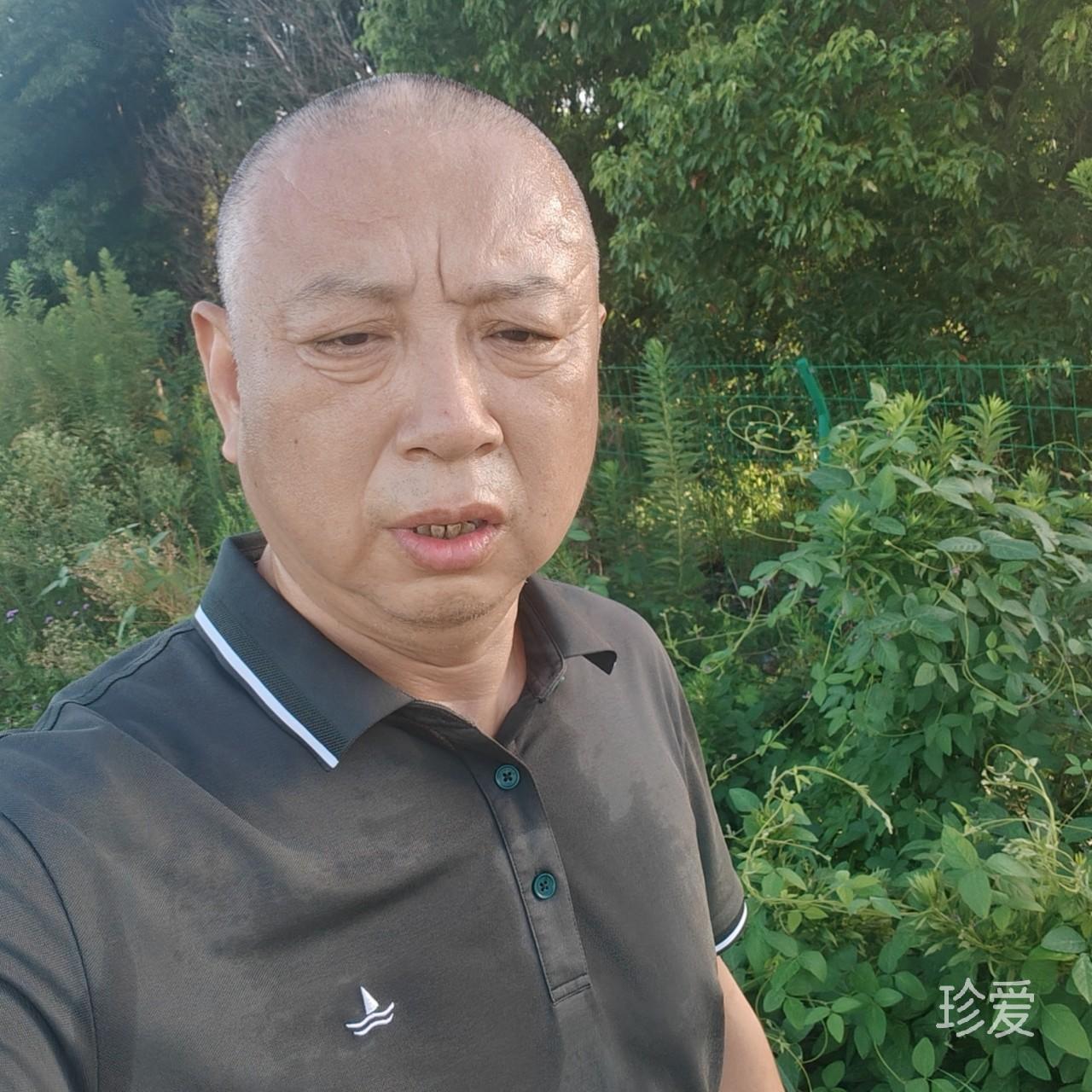 落叶无声