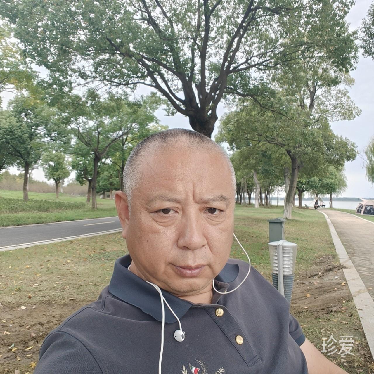 落叶无声