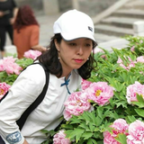 花岸