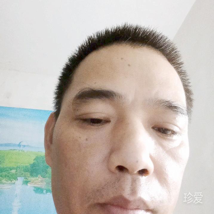 旭日东升