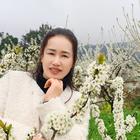 秋风细雨
