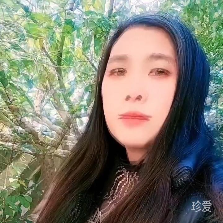 千千雨