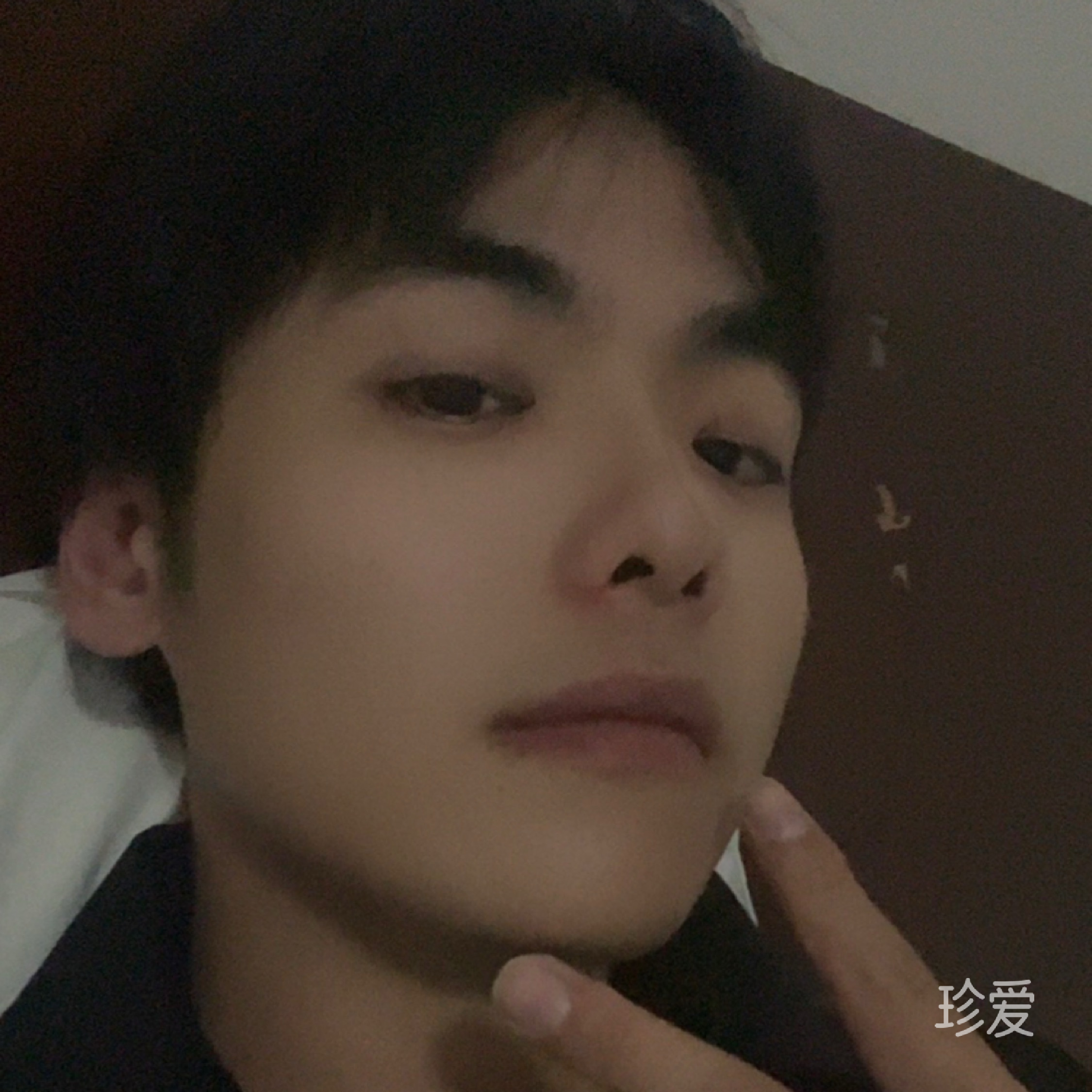 理想