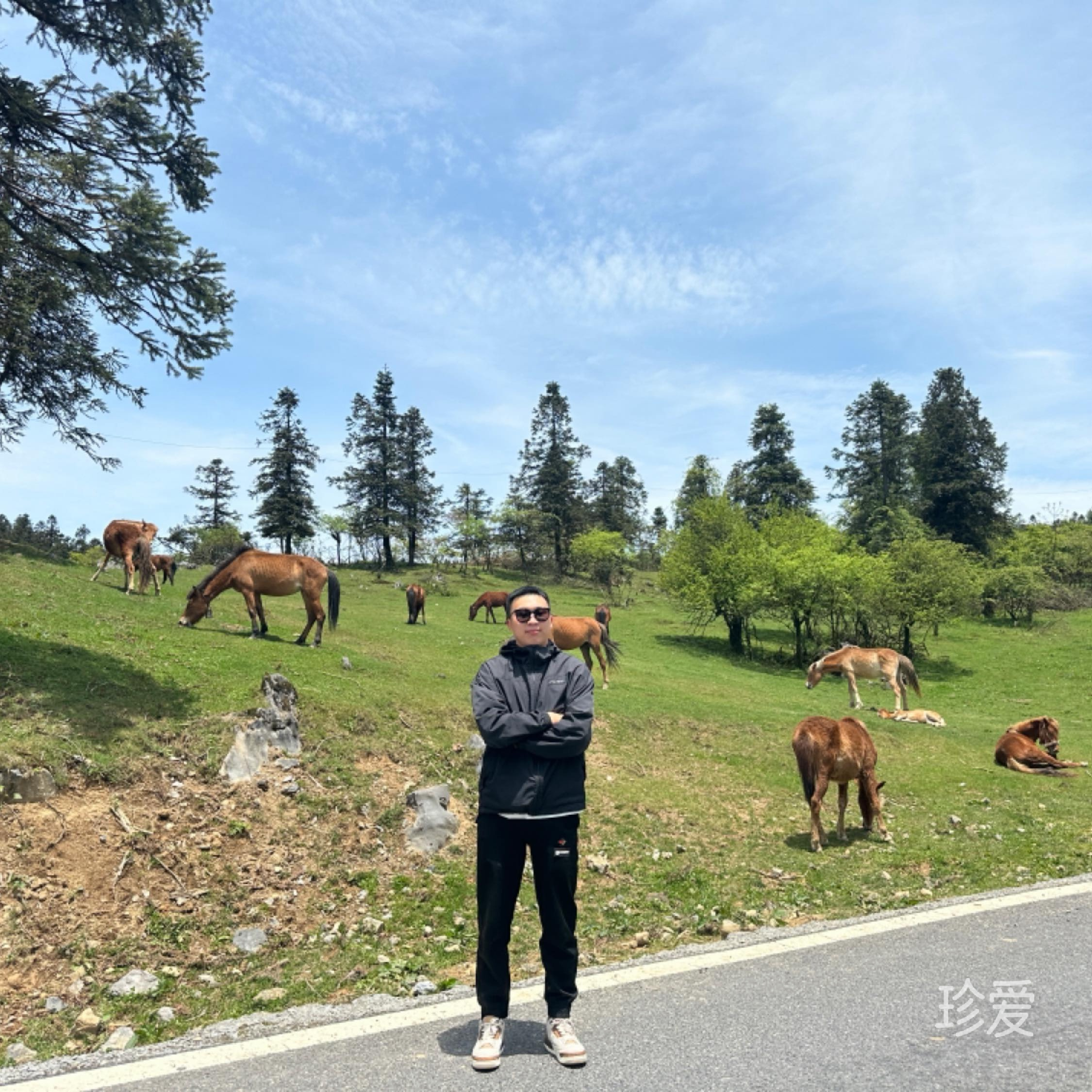 吃太多啦栋