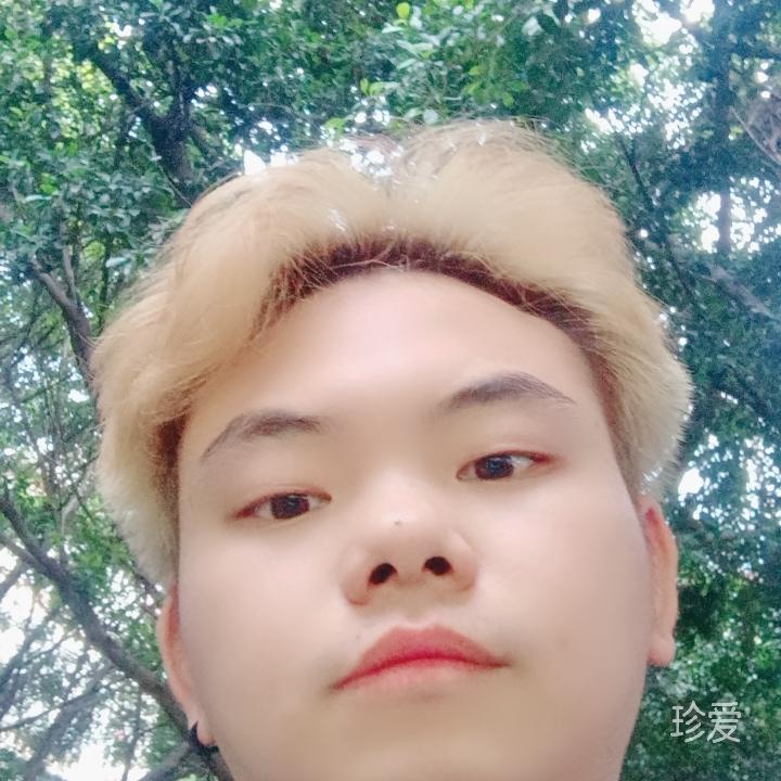 鼠鼠我這一生如履