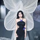 小辰