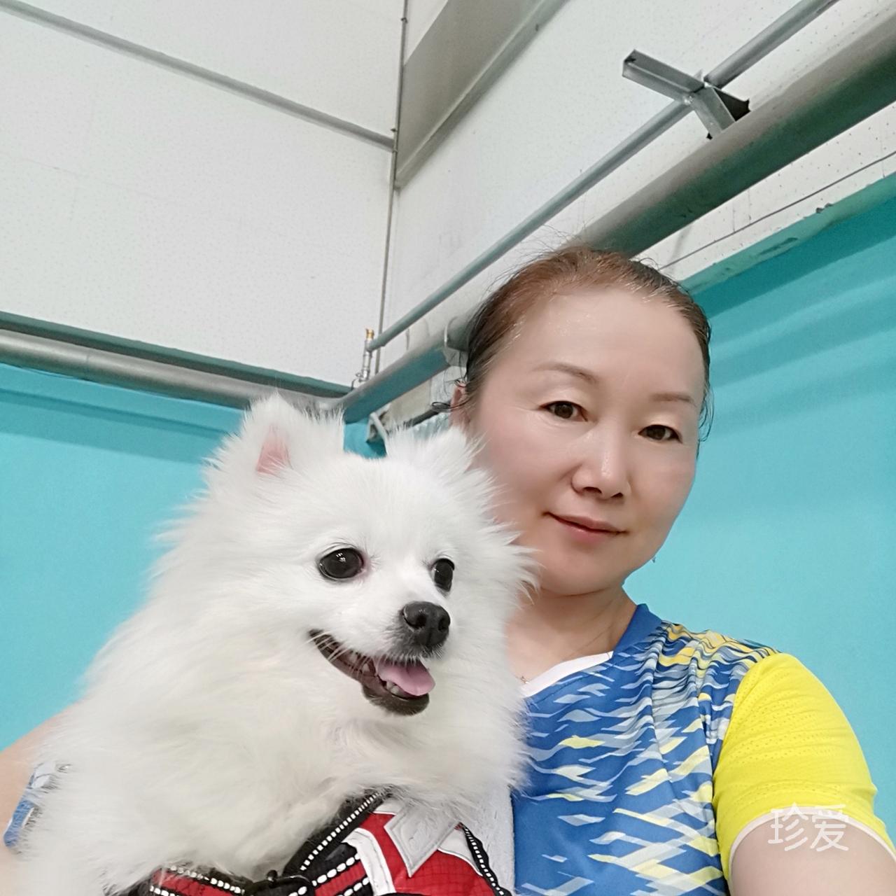 云水禅心丑小鸭