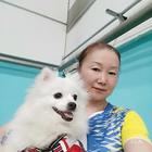 云水禪心丑小鴨