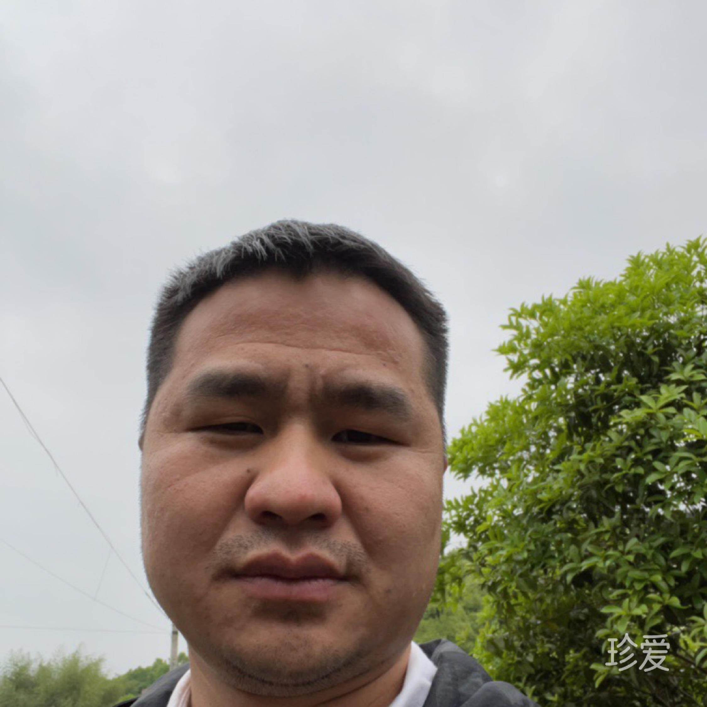 我的愛我在期待中