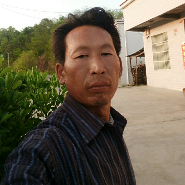 山雨欲来风满楼