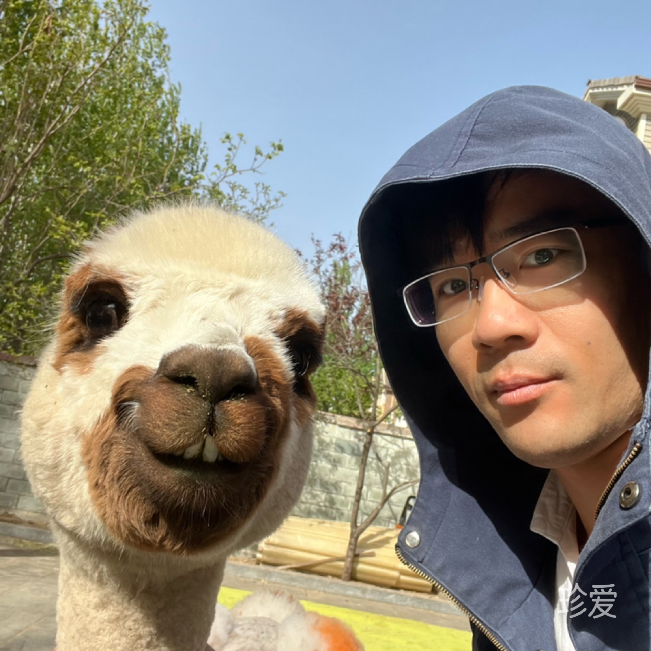 一起看日出日落