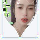 流浪貓