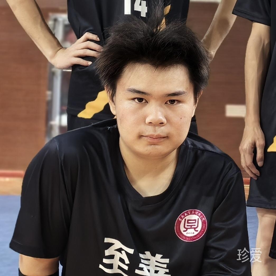 白之鸟