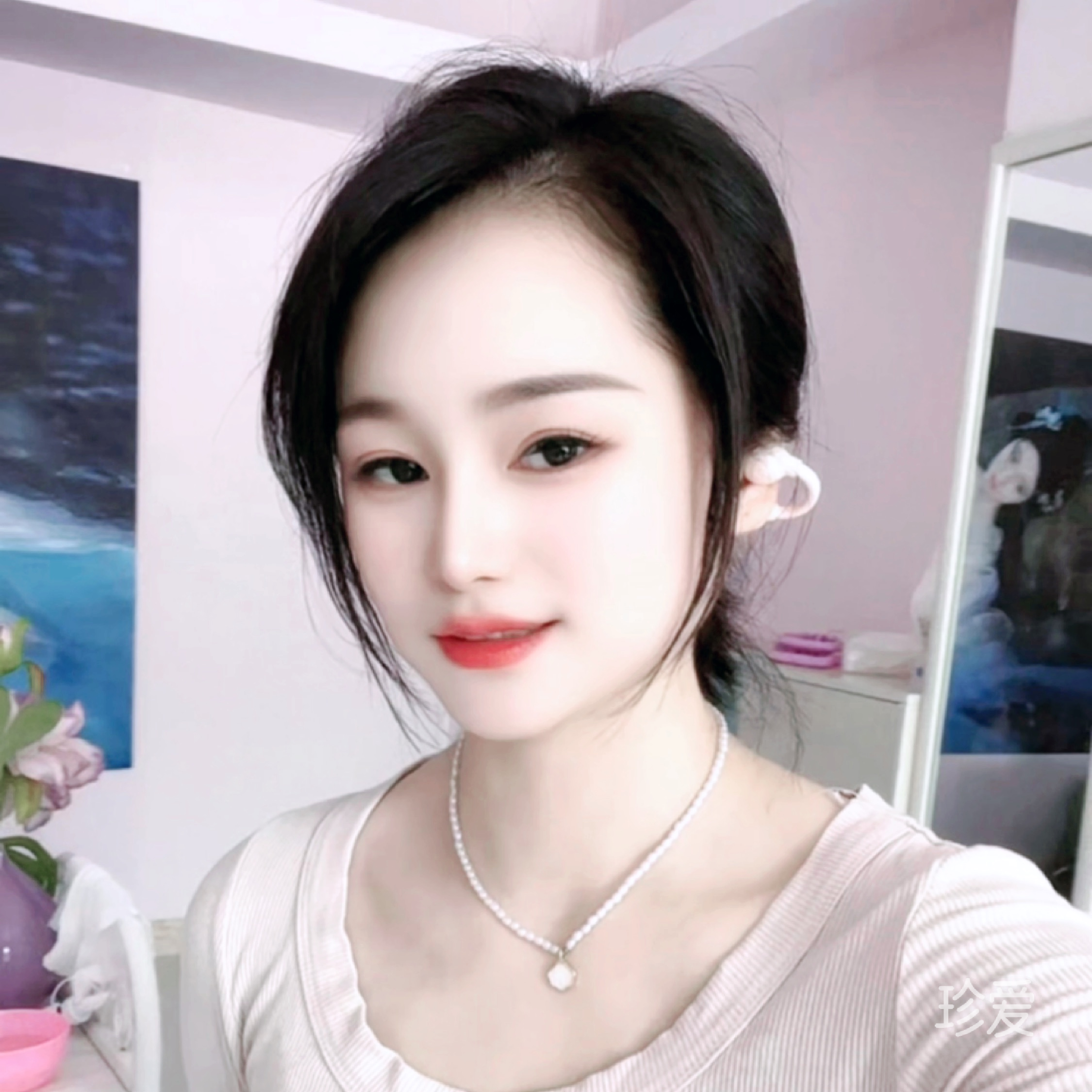 无主猫