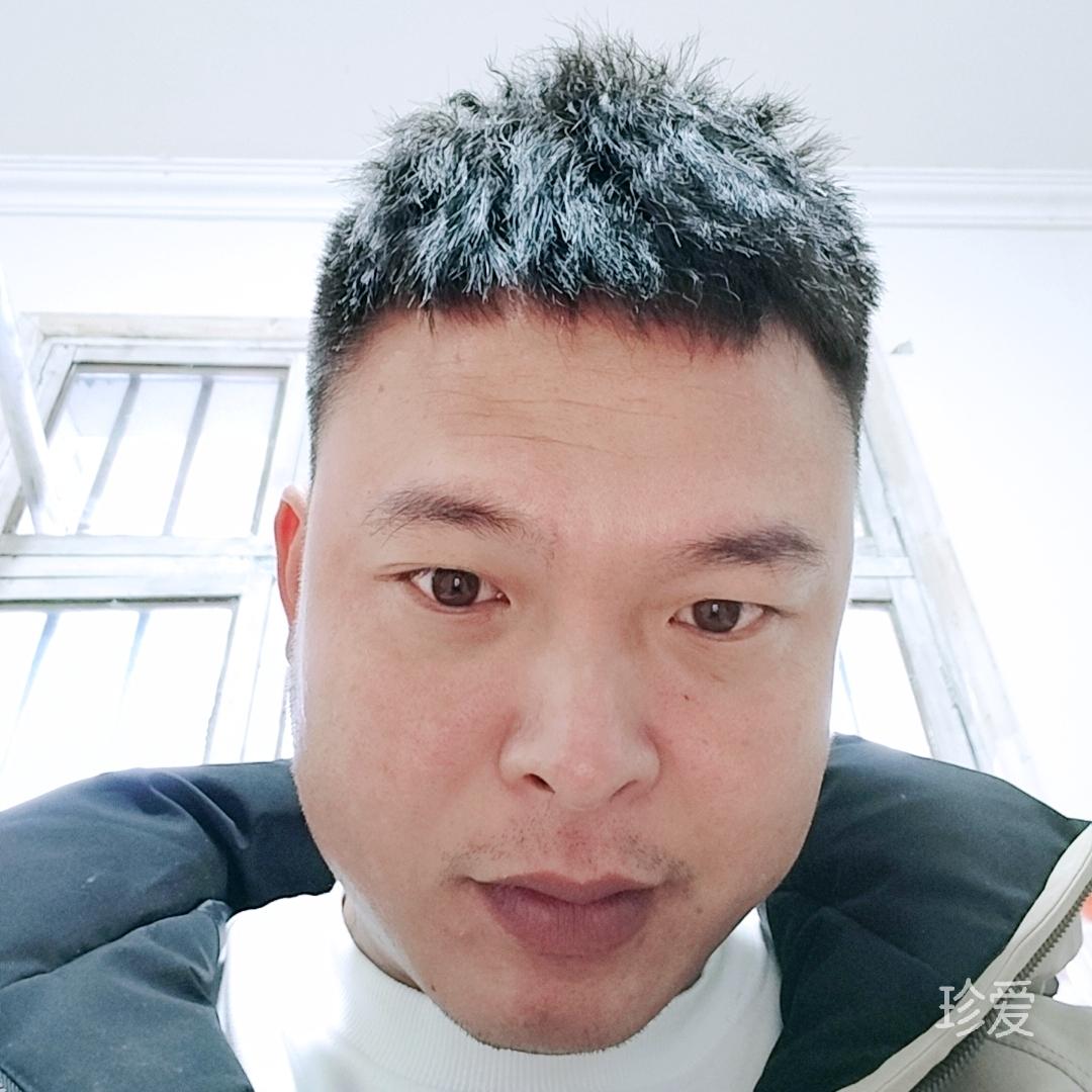 玫瑰骑士