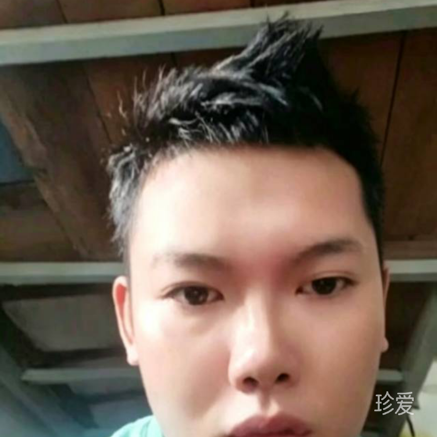 一生只爱你一个