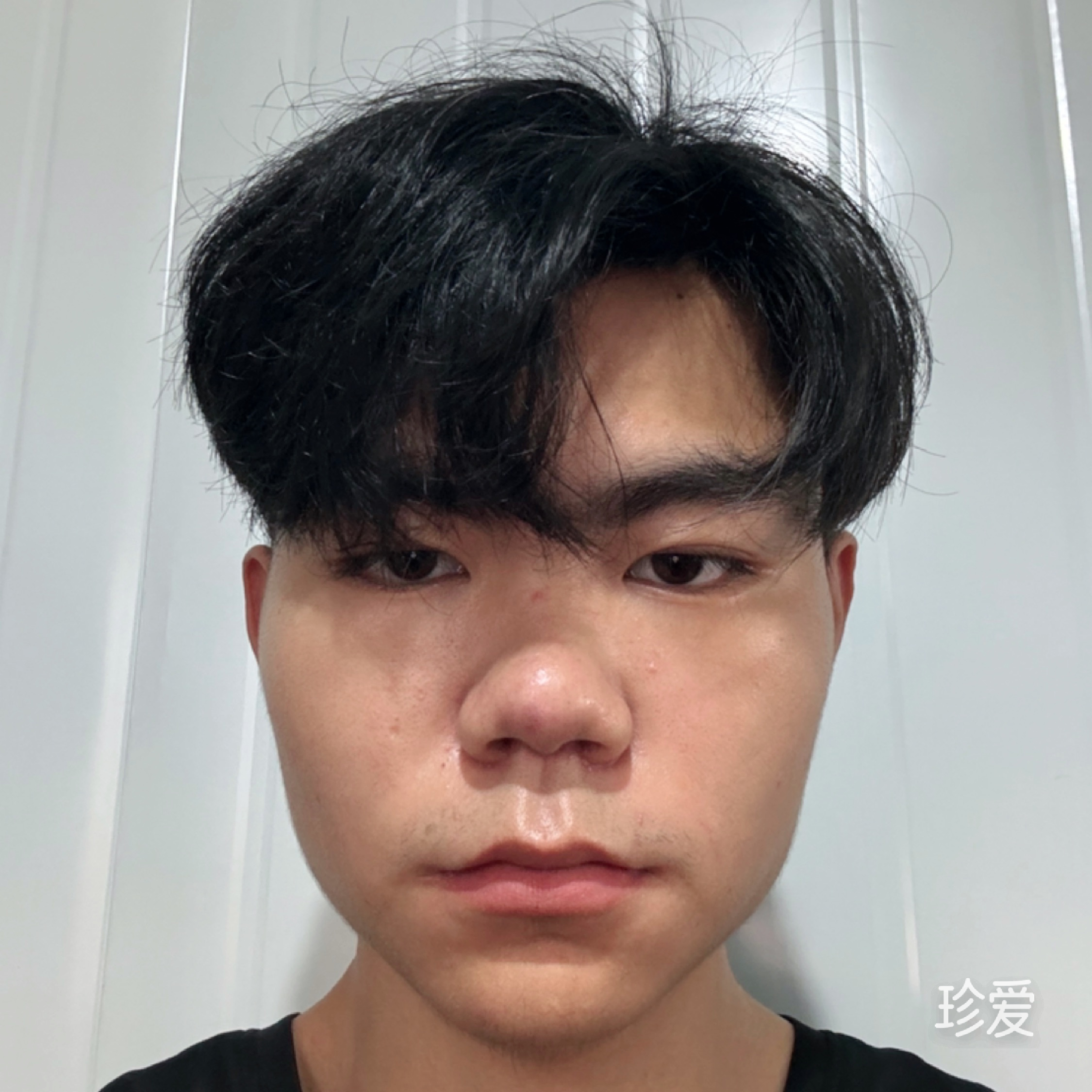 小灰是狼