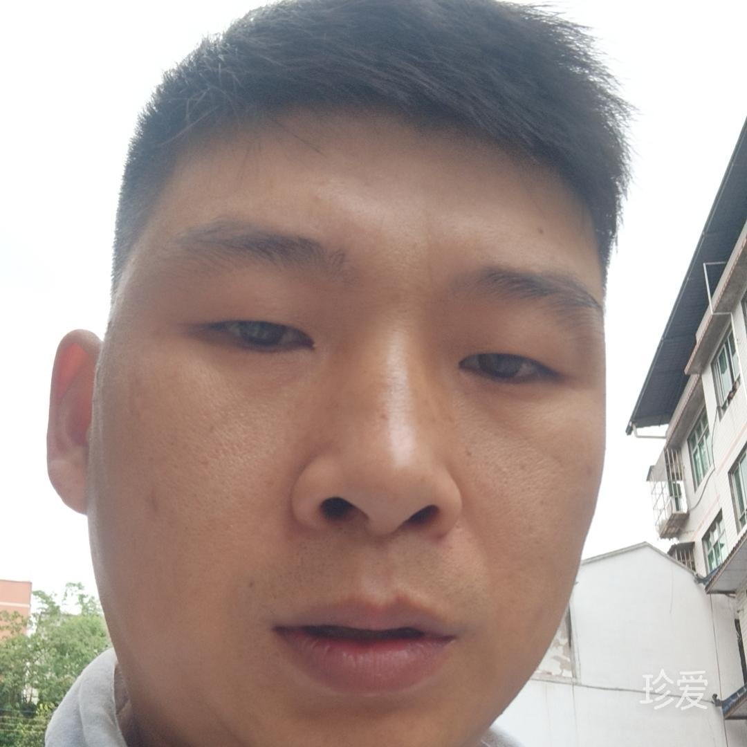 寂寞在靠岸