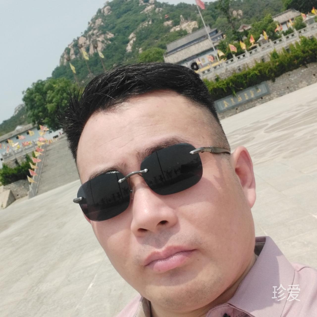 在风雨中飘摇