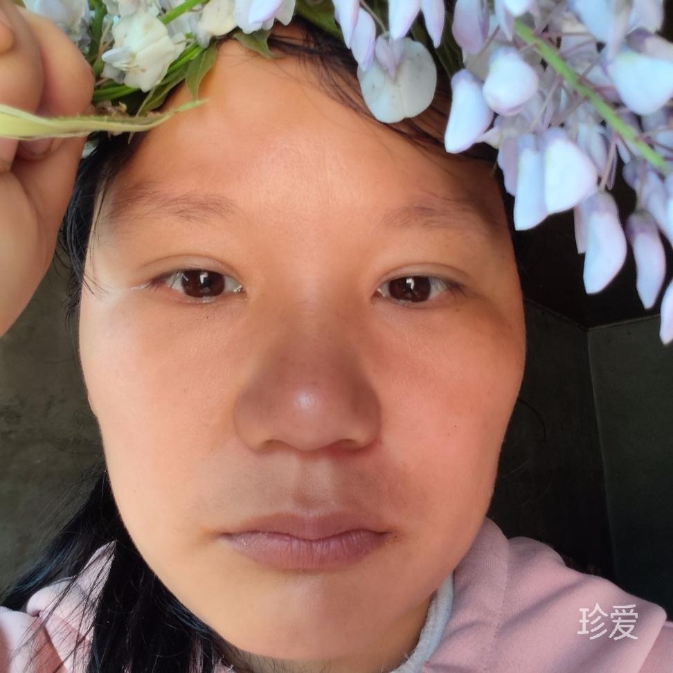真实学历不限