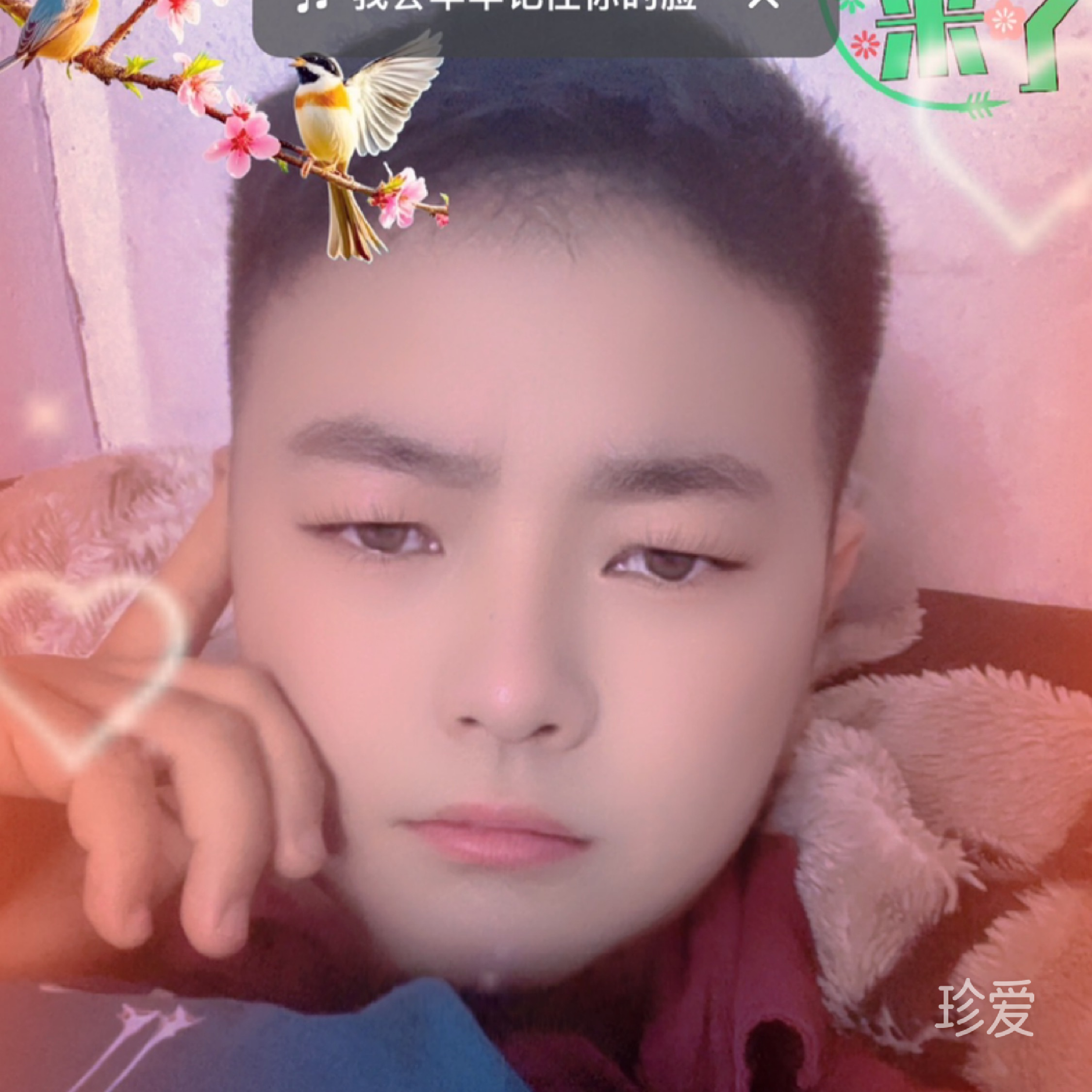 能把我加回来吗