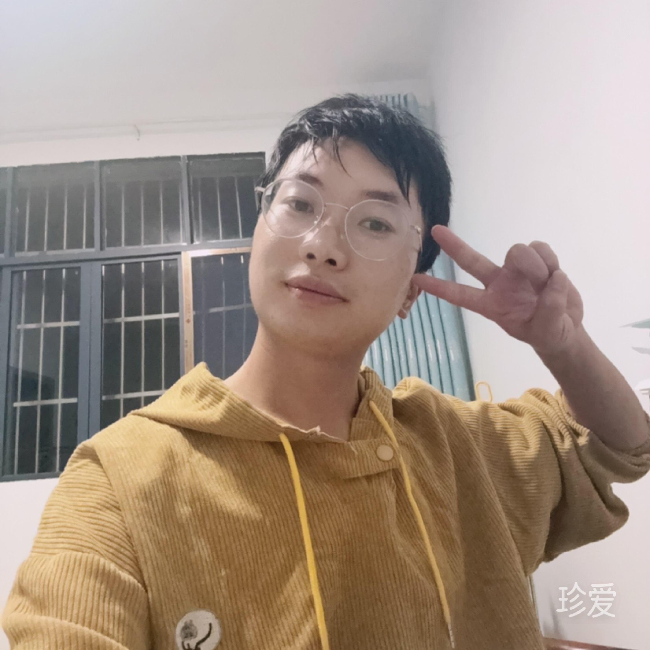 柠檬树盛开往日花