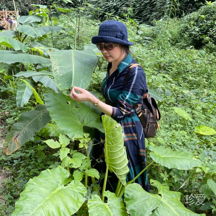 走在迷霧的小巷里