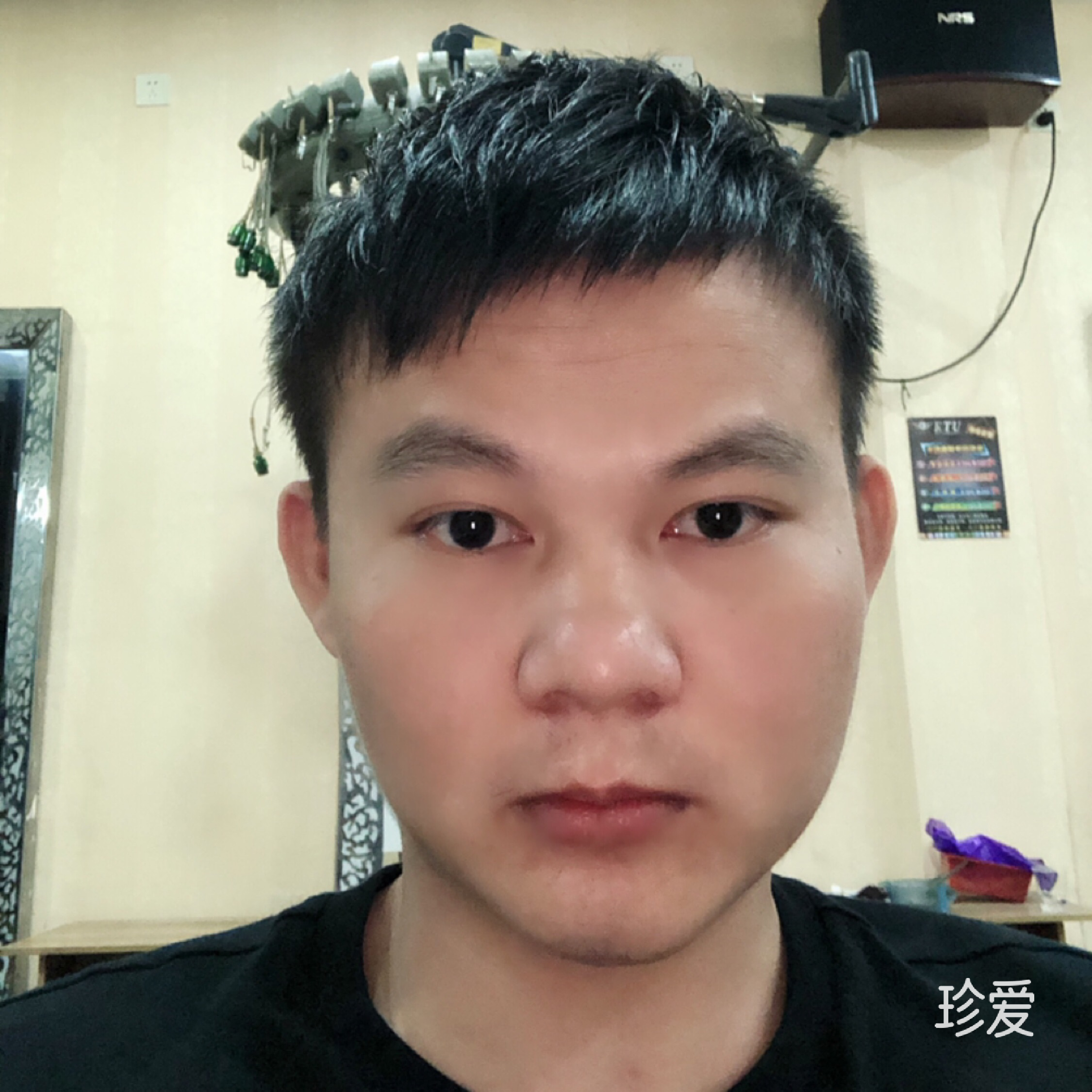 牛仔很忙但我不忙