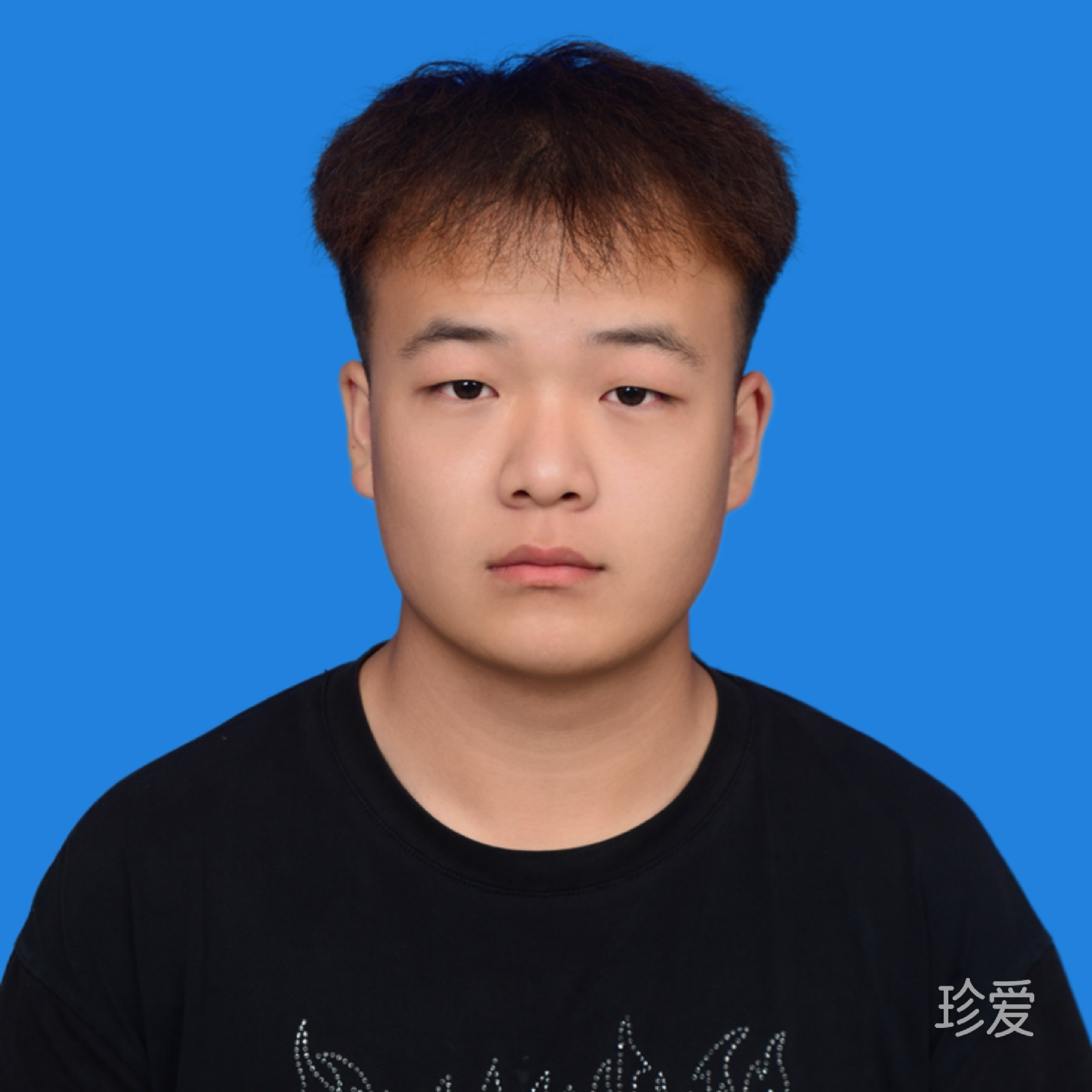 平淡的歌