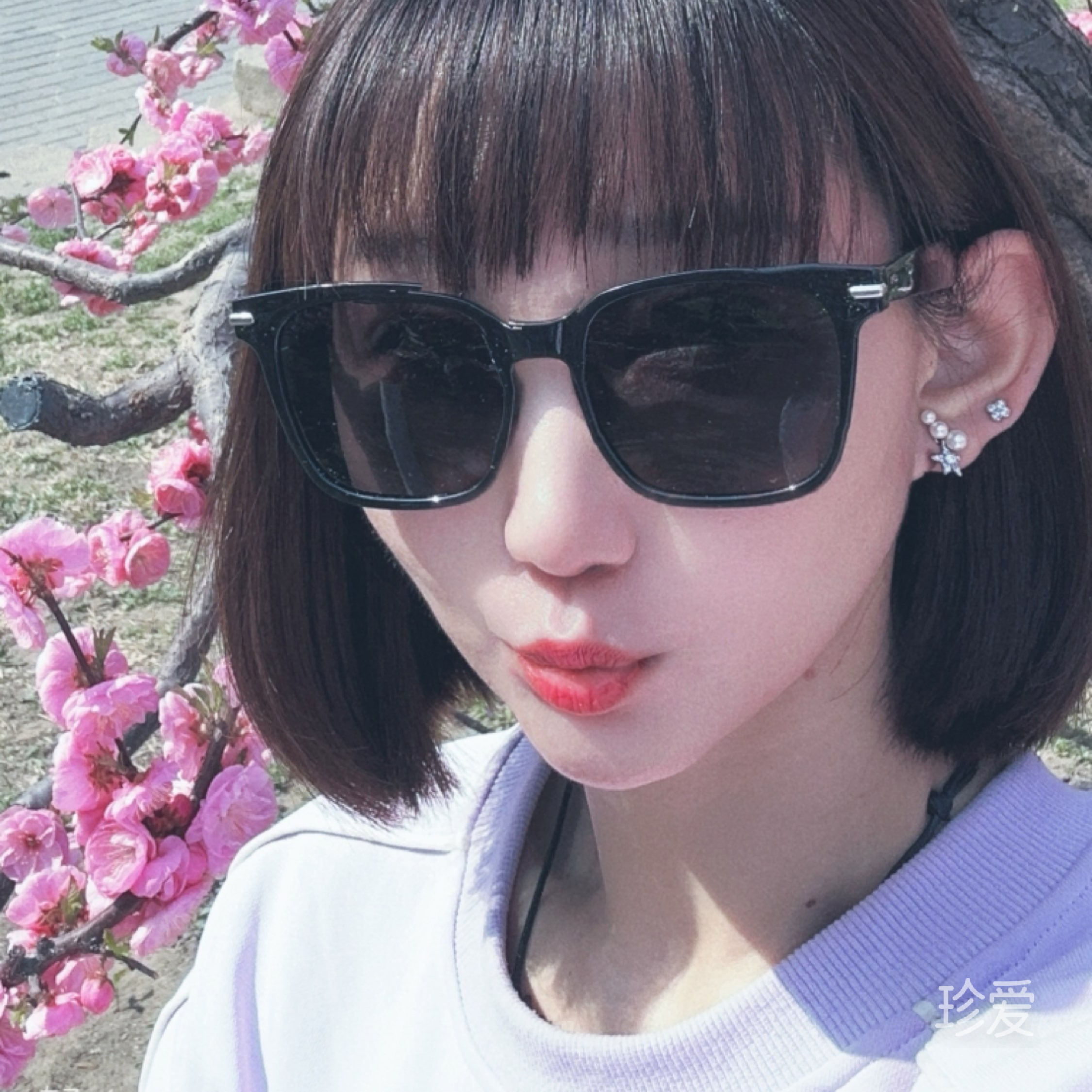 双面淑女