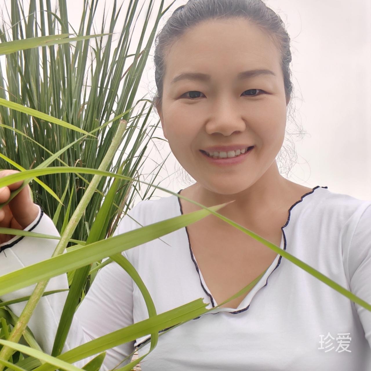等待花开时