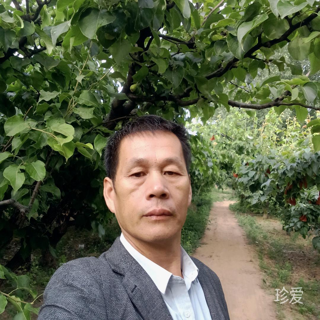 做个本分的自己港