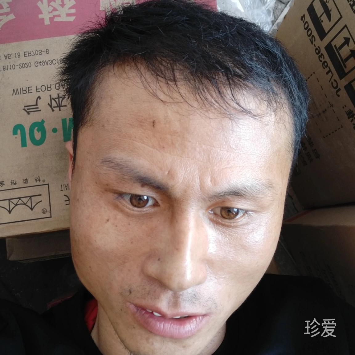 昨夜小楼又东风