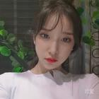 一只小小枯葉蝶