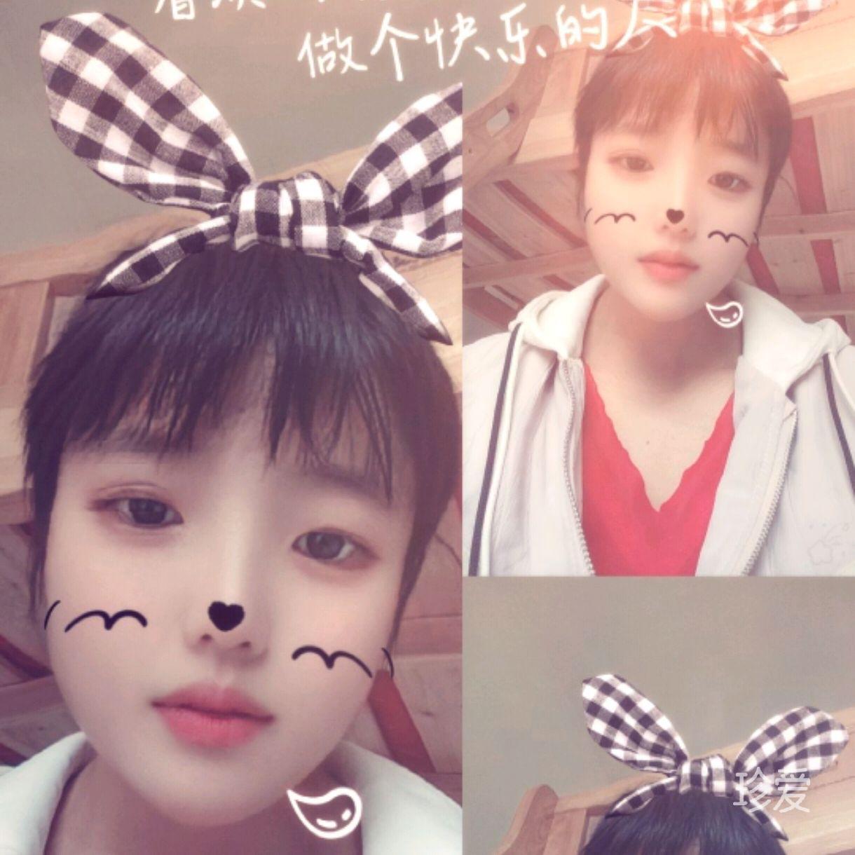 紫藤世家