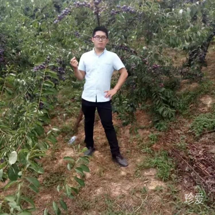 世间路