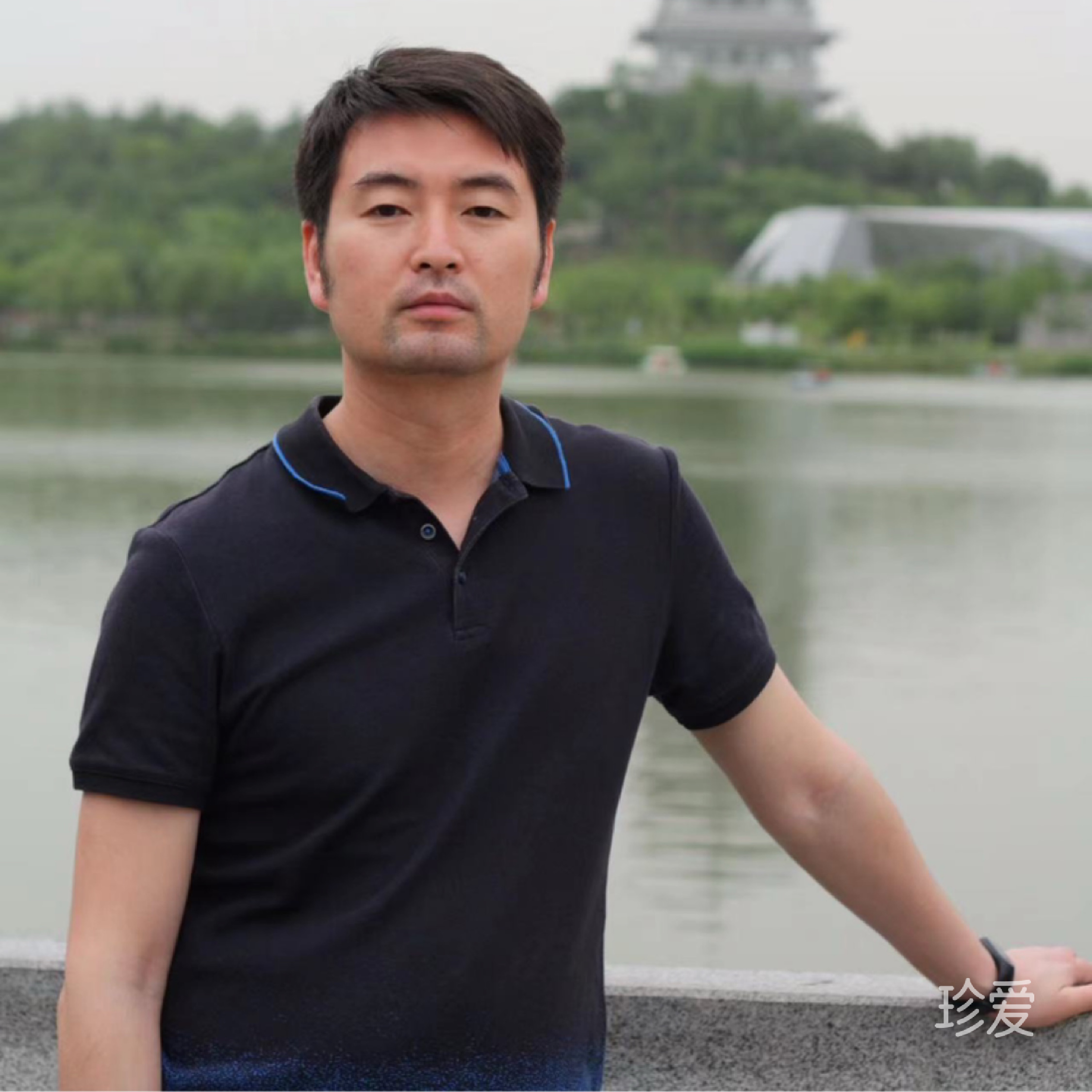坐在树梢等日出