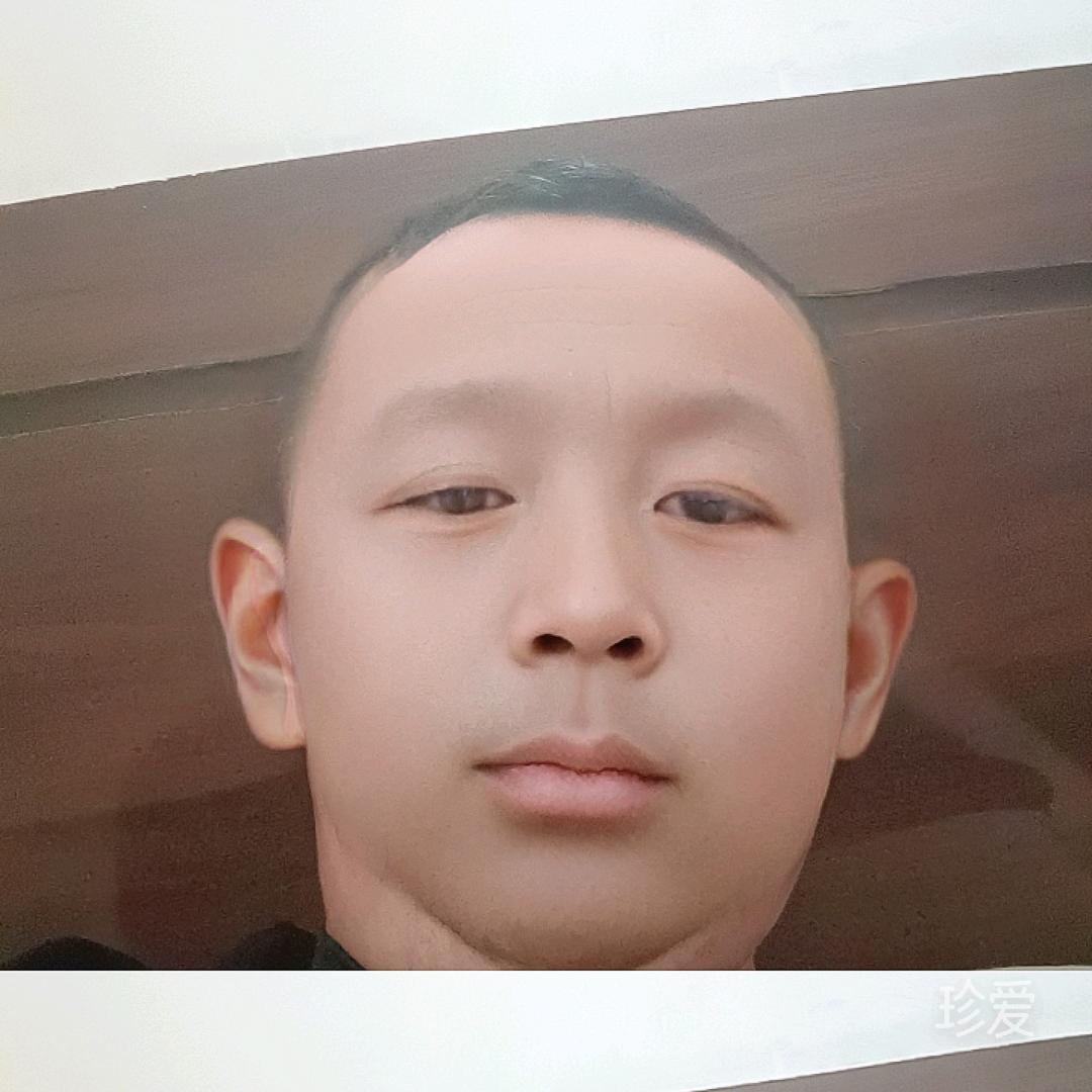 叶落纷飞
