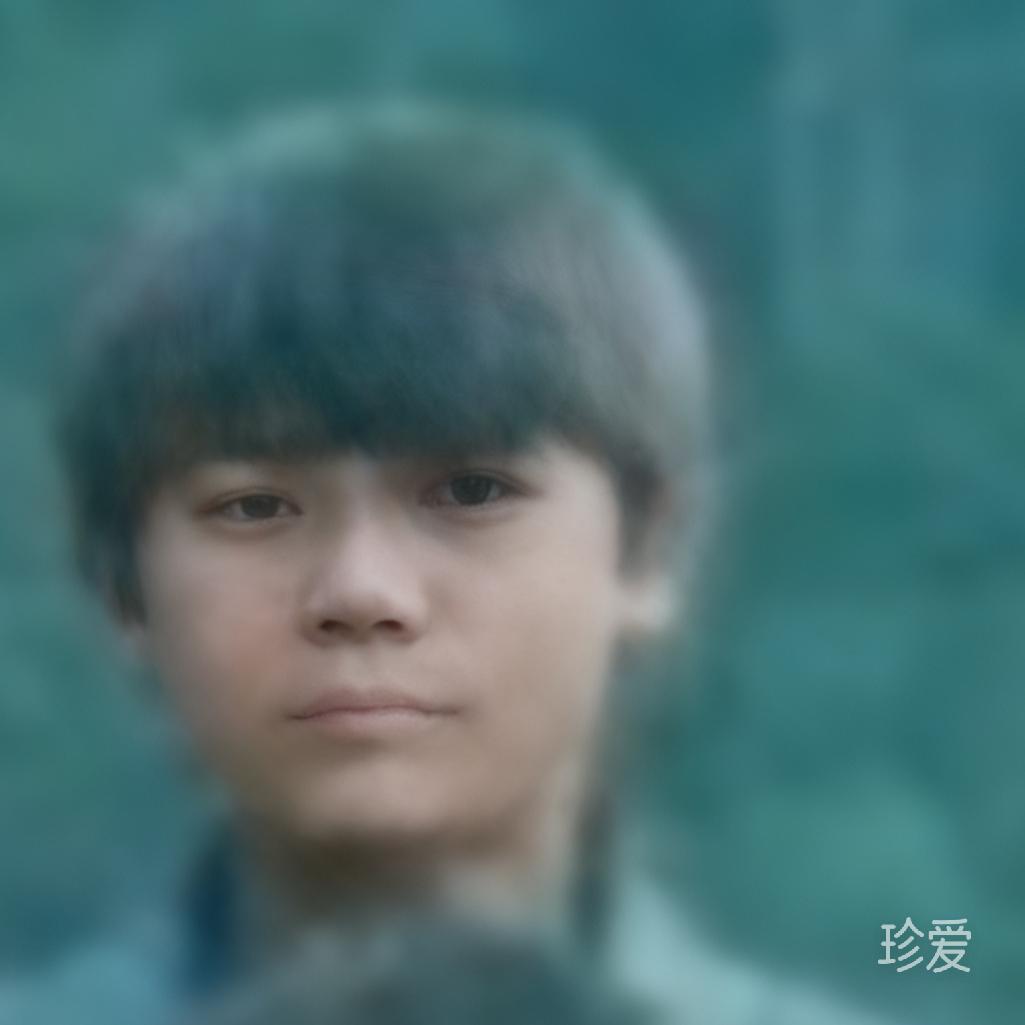 如歌的岁月
